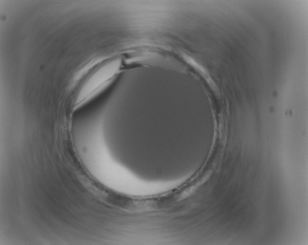 X0000082691453200702232152