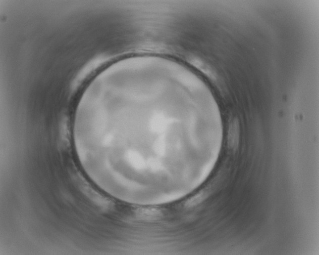 X0000082691454200702232152