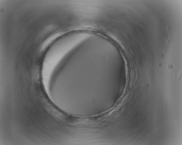 X0000082691455200702232152