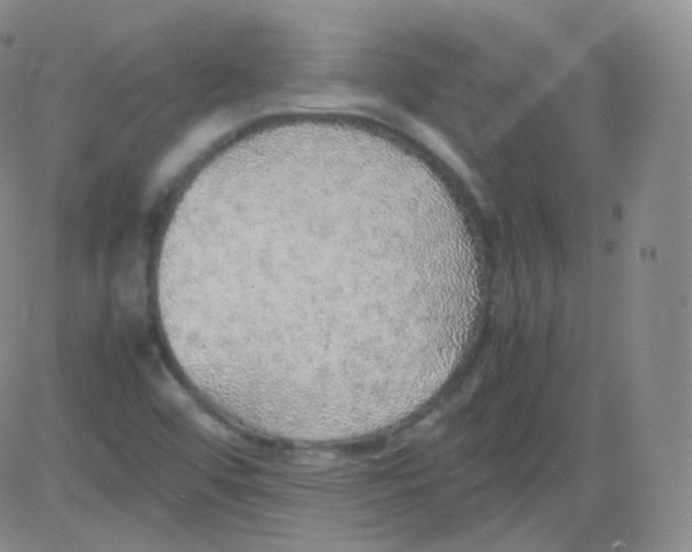 X0000082691456200702232152