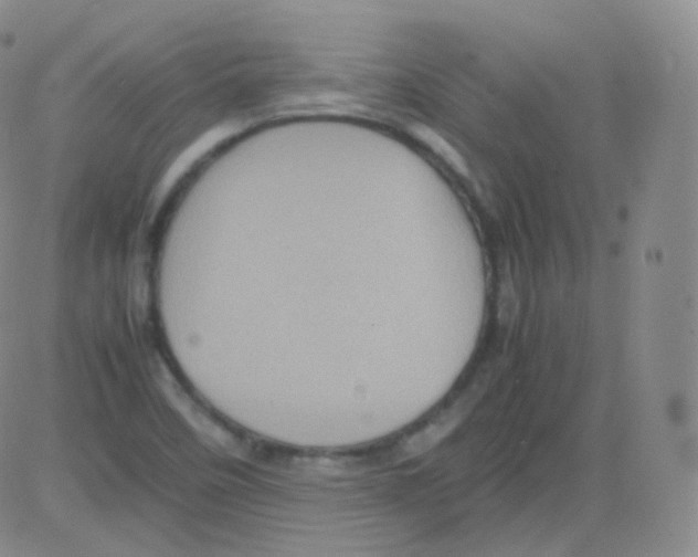 X0000082691458200702232152