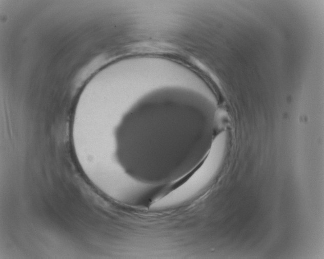 X0000082691459200702232152