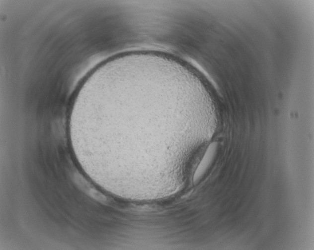 X0000082691460200702232152