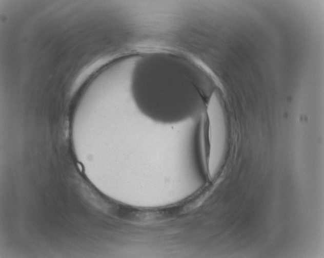 X0000082691461200702232152