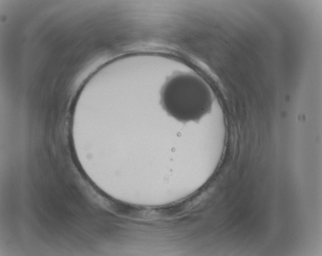 X0000082691463200702232152