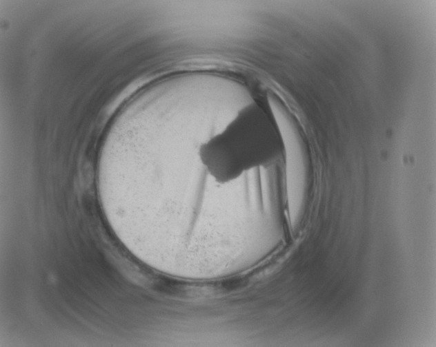 X0000082691465200702232152