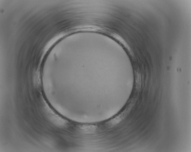 X0000082691466200702232151