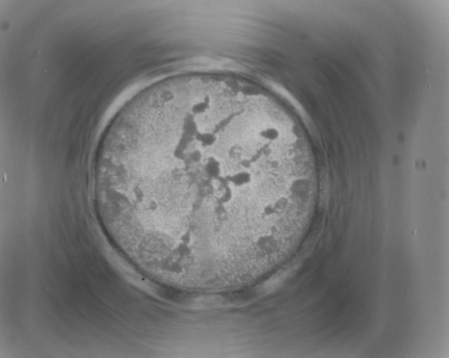 X0000082691467200702232151