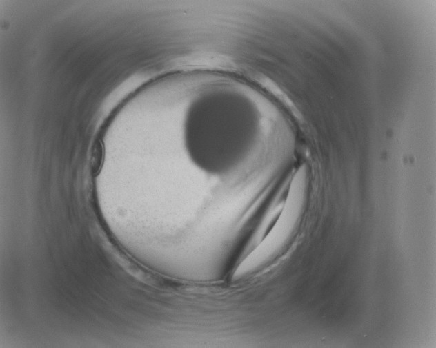 X0000082691469200702232151