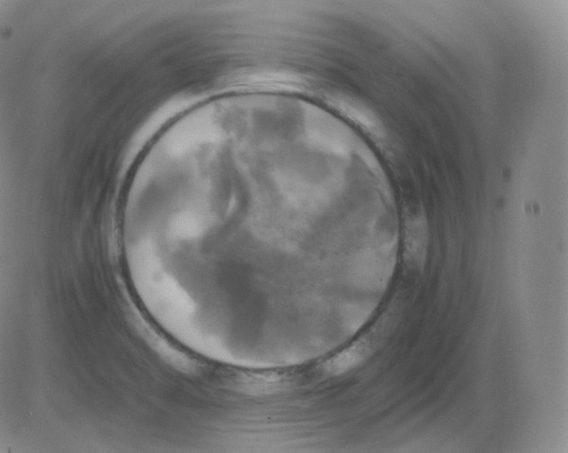 X0000082691470200702232151