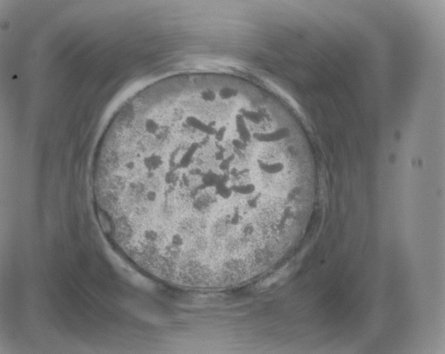 X0000082691471200702232151