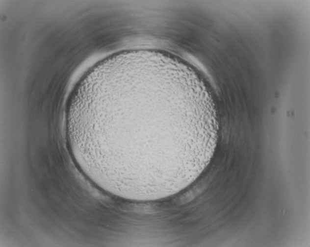 X0000082691472200702232151