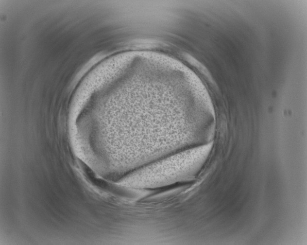 X0000082691473200702232151