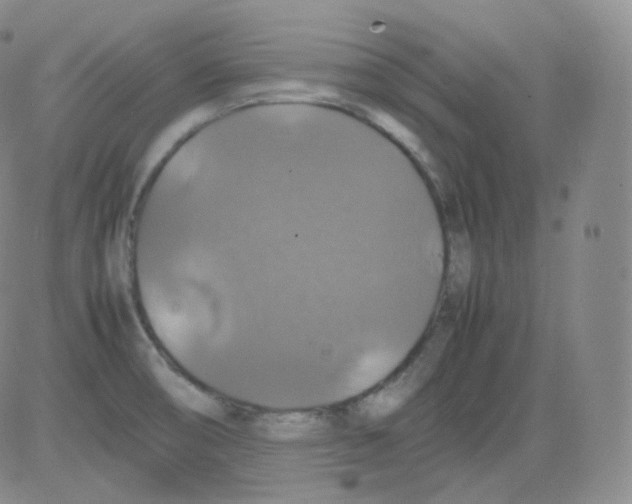 X0000082691474200702232151