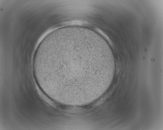 X0000082691475200702232151