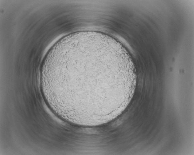 X0000082691476200702232151