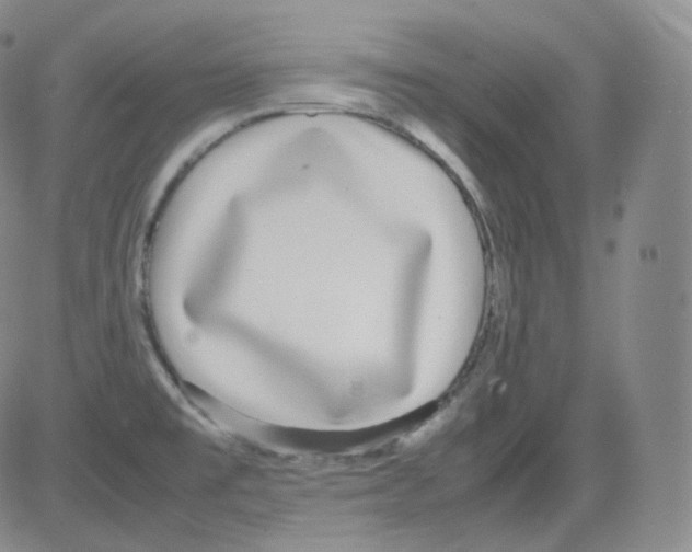 X0000082691477200702232151