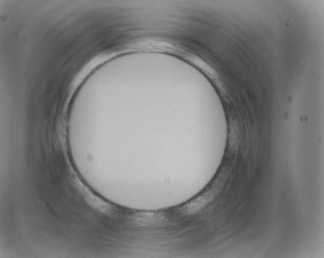 X0000082691478200702232151