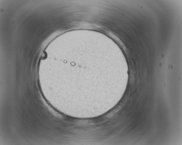 X0000082691479200702232151