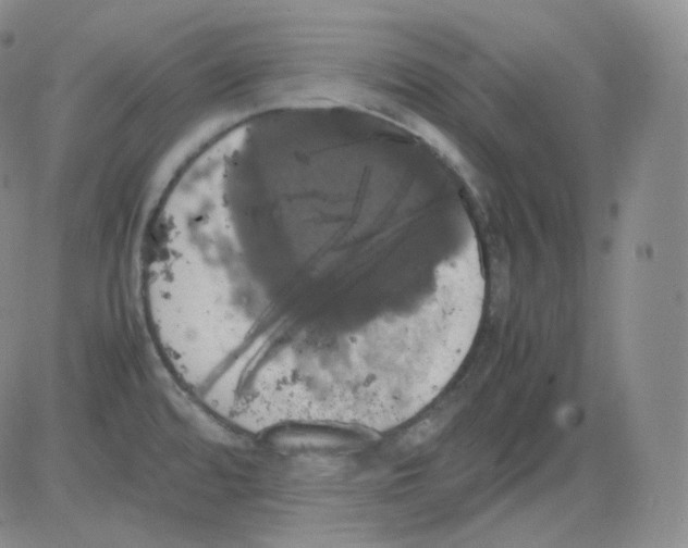 X0000082691480200702232151