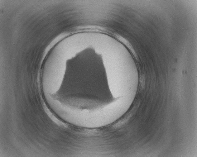 X0000082691482200702232151