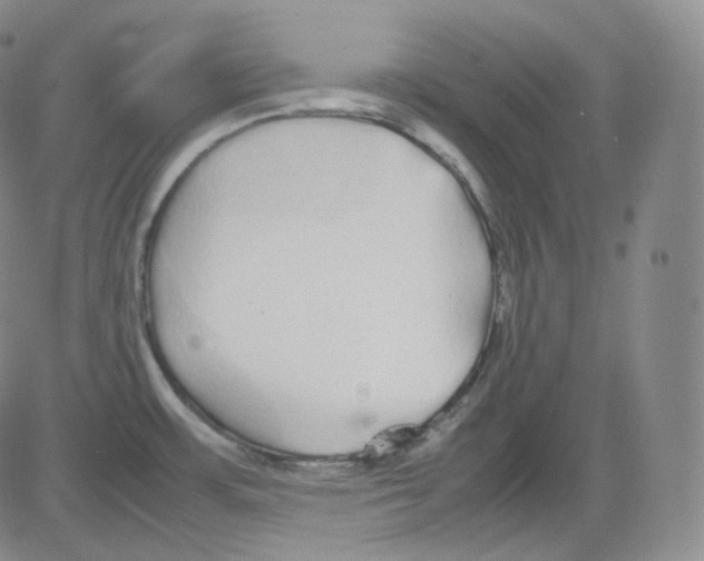 X0000082691483200702232151