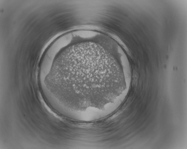 X0000082691484200702232151