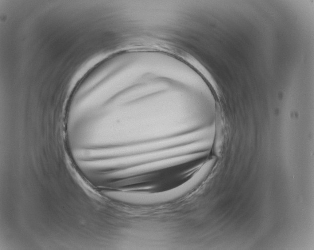 X0000082691485200702232151