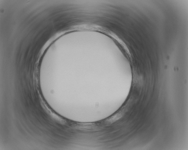 X0000082691486200702232151