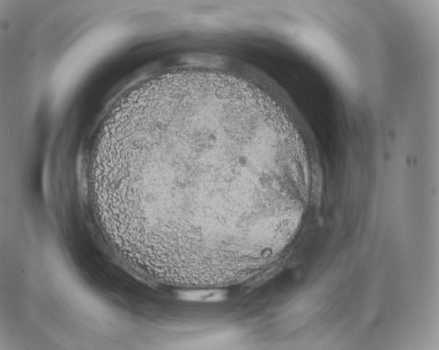 X0000082691487200702232151