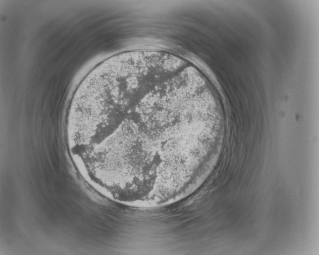 X0000082691488200702232151