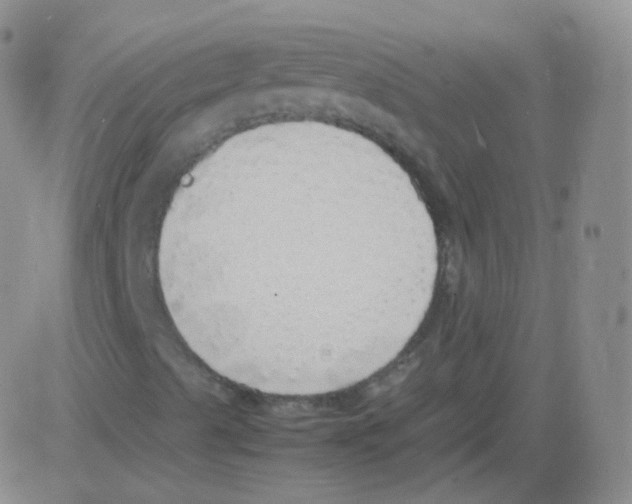 X0000082691489200702232150