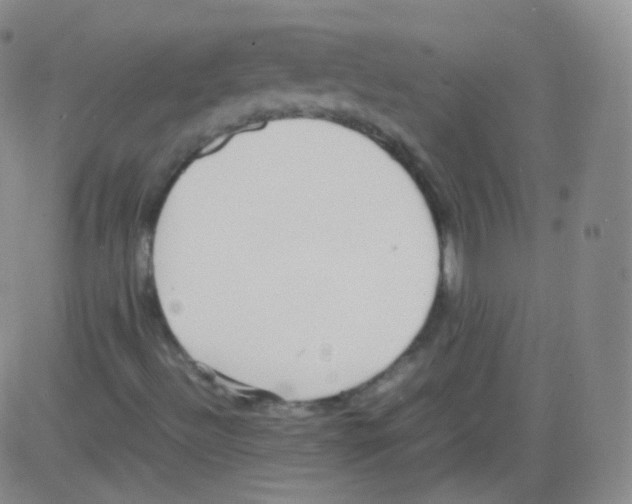 X0000082691492200702232150