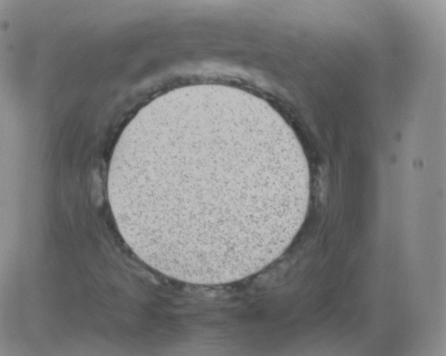 X0000082691493200702232150