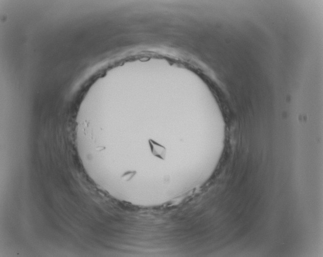 X0000082691496200702232150