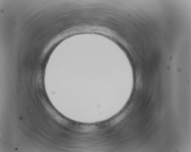 X0000082691498200702232150