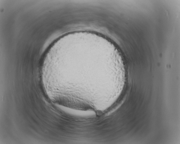 X0000082691501200702232151