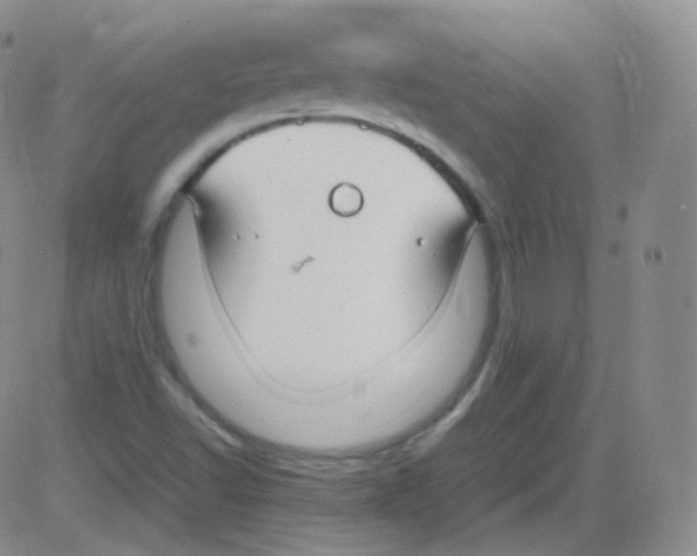 X0000082691502200702232151