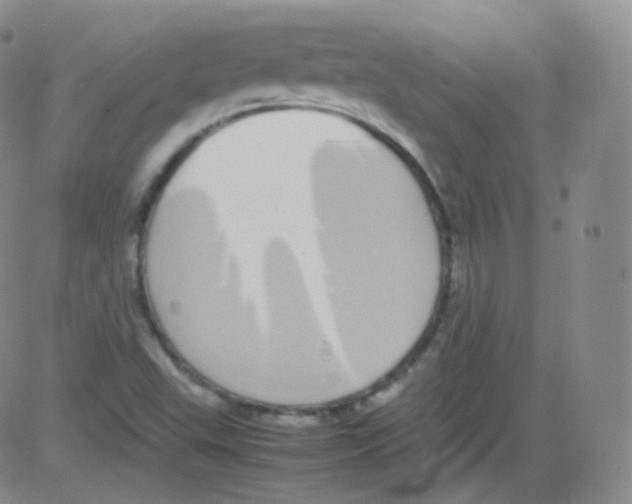 X0000082691503200702232151