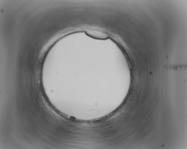 X0000082691504200702232151