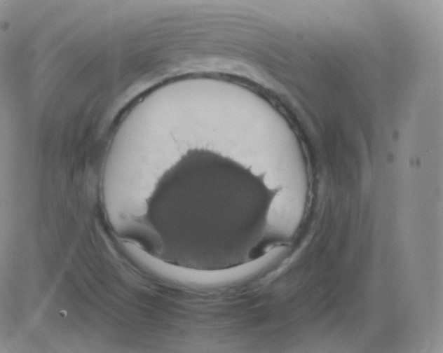 X0000082691505200702232151