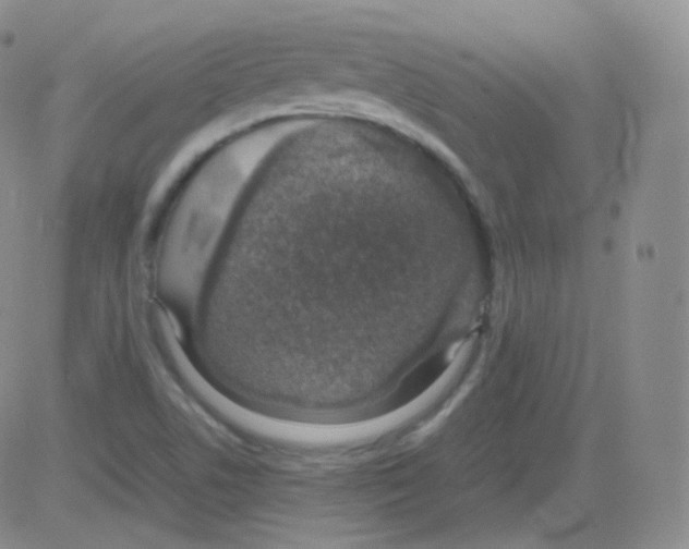 X0000082691506200702232151