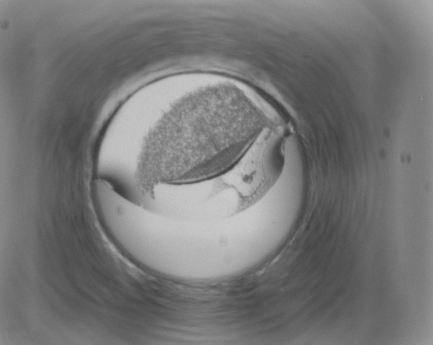 X0000082691508200702232151