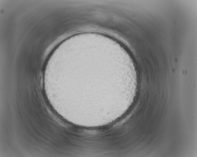 X0000082691509200702232151