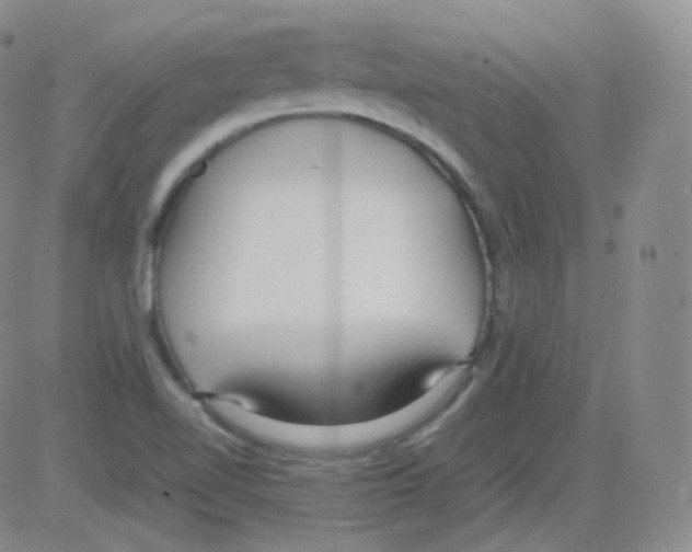 X0000082691510200702232151