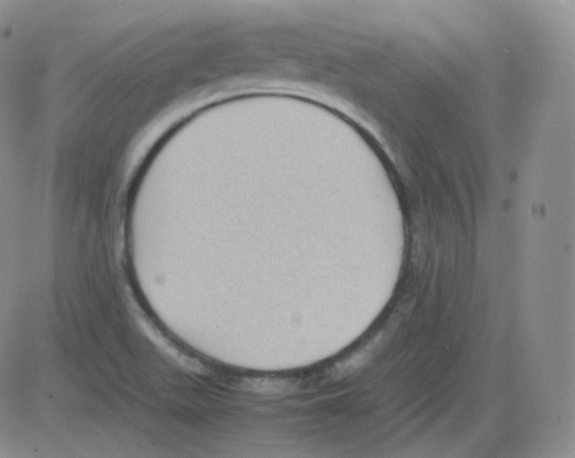 X0000082691511200702232151