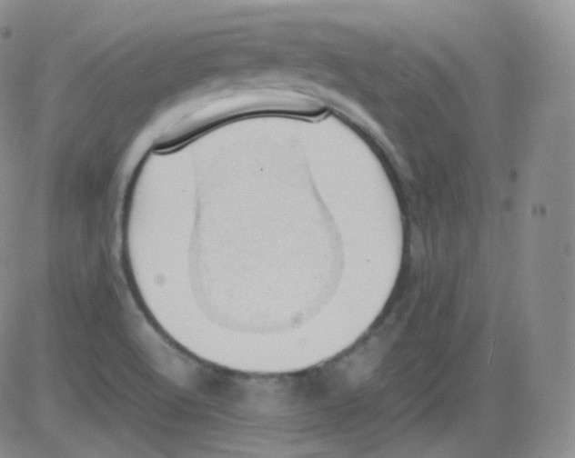 X0000082691512200702232151