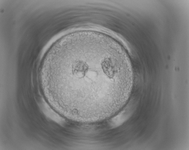 X0000082691514200702232151