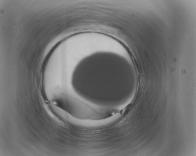 X0000082691515200702232151