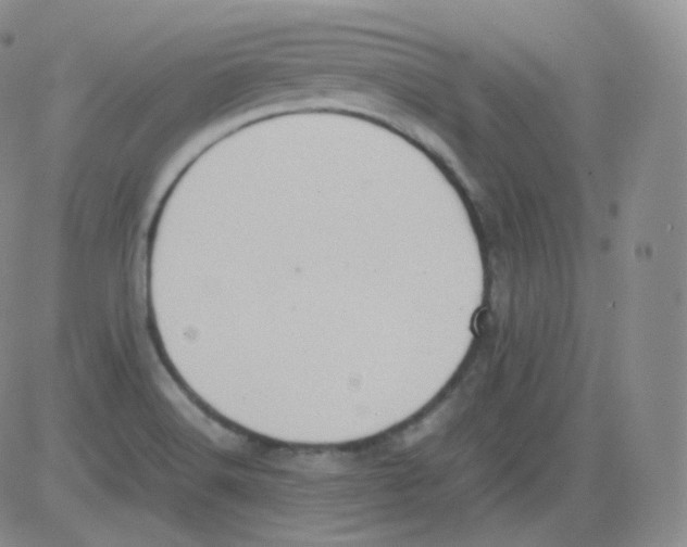 X0000082691516200702232151